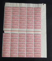 SPM - 1922-28 - N°YT. 111 - Goeland 30c Rose Et Rouge - Bloc De 50 Bord De Feuille - Neuf Luxe ** / MNH - Unused Stamps