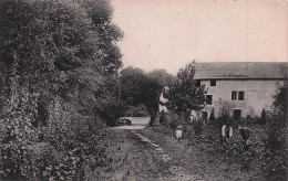 BOISSY L'AILLERIE-l'Oiseau Bleu-la Grande Allée - Boissy-l'Aillerie