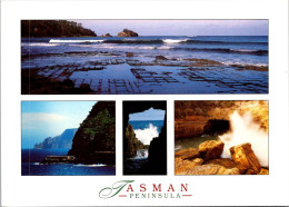 12-2-2024 (3   X 51 Australia - TAS - Tasman Peninsula (with Flower Stamp) - Wilderness