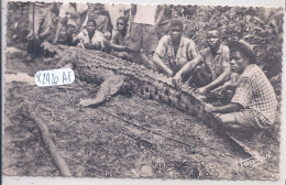 CONGO BELGE- CAIMAN MANGEUR D HOMMES - Congo Belge