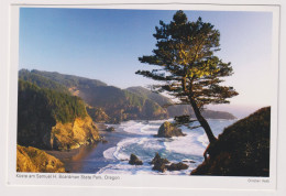 AK 200782 USA - Oregon - Küste Am Samuel H. Boardman State Park - Altri & Non Classificati