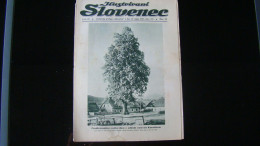 Newspaper Priloga Ilustrirani Slovenec, Tradicionalna Vaska Lipa V Ziljski Vasi Na Koroskem - Langues Slaves