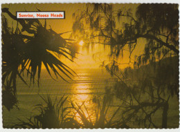 Australia QUEENSLAND QLD Sunrise Ti Tree Bay NOOSA HEADS Sunshine Coast Kuskopf 349 Postcard C1970s - Sunshine Coast