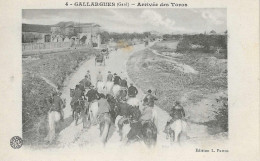 30 GALLARGUES ABRIVADO DE TAUREAUX GARD GARDIANS CAMARGUE GARD - Gallargues-le-Montueux