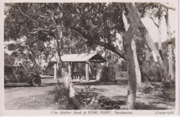 AUSTRALIA - The Shelter Shed At ECHO POINT Bundanoon - RPPC - Used With Message - Other & Unclassified