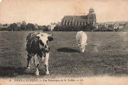 FRANCE - Pont L'Evèque - Les Paturages De La Vallée - LL - Vaches - Pâturages - Carte Postale Ancienne - Pont-l'Evèque