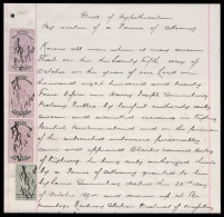 Bechuanaland Revenues 1894 Hypothecation, Magnificent - Autres & Non Classés