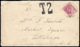 Cape Of Good Hope 1906 Taxed Cover Unrecorded T2 Marking - Cape Of Good Hope (1853-1904)