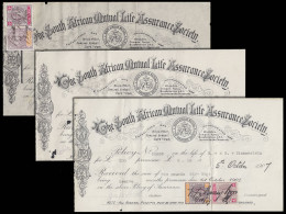 Cape Of Good Hope 1905-09 SA Mutual Life Assurance Receipts - Cape Of Good Hope (1853-1904)