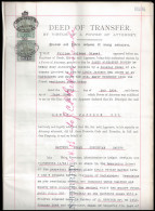 Cape Of Good Hope 1905 Transfer Deed, Hope Standing £4 - Cape Of Good Hope (1853-1904)