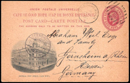 Cape Of Good Hope 1903 KEVII 1d Draghoender BONC 1098, Rare - Cape Of Good Hope (1853-1904)