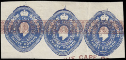 Cape Of Good Hope 1903 KEVII Embossed Licence Stamps - Cape Of Good Hope (1853-1904)