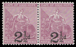 Cape Of Good Hope 1891 2½d On 3d Pair VF/M  - Cape Of Good Hope (1853-1904)