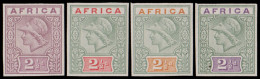 South Africa 1894 De La Rue Africa Essays Group Superb UM - Non Classés