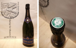 Apanage Pommery - Champagne - 1 X 75 Cl - Blanc Effervescent - Champagne & Mousseux