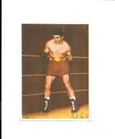 CT99 - IMAGE BRASSERIE MOTTE CORDONNIER - BOXE - LAURENT DAUTHUILLE - Trading Cards