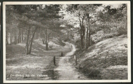 Veluwe - Zandweg - Putten