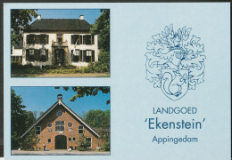 Appingedam - Landgoed Ekenstein - Eekhoorn, Wapen, Heraldiek - Appingedam