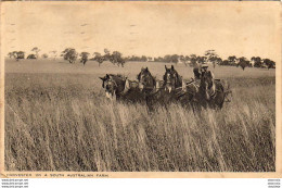 AUSTRALIA  HARVESTER ON A SOUTH AUSTRALIAN FARM - Sonstige & Ohne Zuordnung