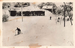 ALGERIE - Chréa - Vue Générale De La Place Du Génie En Hiver - Des Personnes Faisant Du Ski - Carte Postale Ancienne - Men