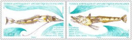 TAAF - 2023 - Cryodraco Antarticus - Animaux Marins - Faune - 2 Timbres En Paire MNH ** Neuf - New - - Neufs