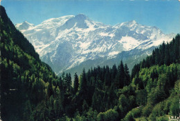 FRANCE - Panorama Sur Le Massif Du Mont Blanc - Carte Postale - Rhône-Alpes