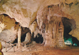 Cartolina Cala Gonone ( Nuoro ) - Grotte Del Bue Marino - Nuoro