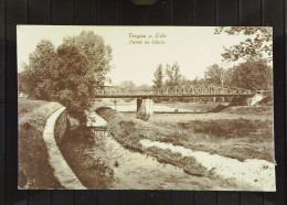 DR: Ansichtskarte Von Torgau An Der Elbe, Partie Im Glacis- Nicht Gelaufen, Um 1930 - Torgau