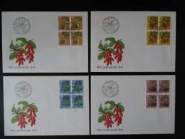 Schweiz FDC , Mi 1083-1086 , 4er Block , Pro Juventute - Covers & Documents