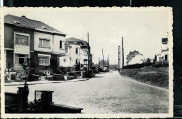 Moortebeek : Rue Paloke - Photo-carte Neuve - - Evere