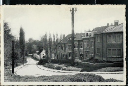 Moortebeek : Rue Paloke  - Photo-carte Neuve - - Evere