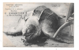 TORTUE GEANTE De 350 Kilos - PUB Restaurant C CHARTIER à PARIS - TOUL - - Schildkröten