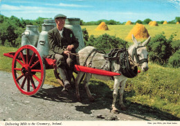 IRLANDE - Delivering Milk To The Greamary Ireland - Carte Postale - Sonstige & Ohne Zuordnung