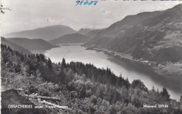 E4418) OSSIACHERSEE Gegen Westen - Kärnten - Mit Bäumen Im Vordregrund - Blick Auf See ALT! - Ossiachersee-Orte