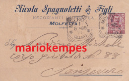 MOLFETTA  ( Bari )  -  Nicola Spagnoletti & Figli  -  NEGOZIANTI IN FRUTTA_viagg. 1905 - Molfetta