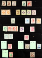 1900-1960's FINE MINT RANGES On Pages, Some Stamps Are Never Hinged. Includes 1900-01 4c 'Specimen' Unused, 1903 8c & 19 - Other & Unclassified