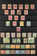 SELANGOR 1883 - 1965 USED COLLECTION On Protective Pages, Note 1885-91 'Selangor' Overprints On 2c Pale Rose Various Typ - Other & Unclassified