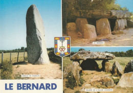 VENDEE . - LE BERNARD . - Dolmens Et Menhir - Dolmen & Menhirs