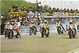 Courses Sur Route - 1976 - Giacomo Agostini - Johnny Cecotto # 2-22/1 - Motorradsport