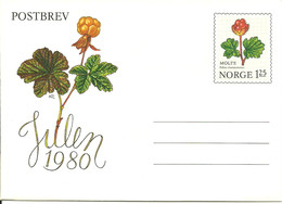 Norway 1980 Stationary Post Letter With 125 øre Cloadberry (Rubus Chamaemorus) (Molte) , Mint - Covers & Documents