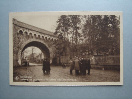 BEAURAING - AVENUE DE LA GROTTE ET ARBRE DES APPARITIONS - Beauraing