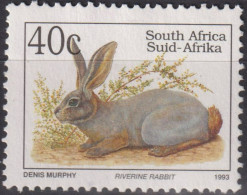1997 Südafrika ° Mi:ZA 895IIA, Sn:ZA 867E, Yt:ZA 812A, Riverine Rabbit (Bunolagus Monticularis), Kaninchen - Usati