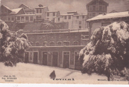 POSTCARD PORTUGAL - COVILHÃ - MERCADO DEPOIS DE UM NEVÃO - Castelo Branco