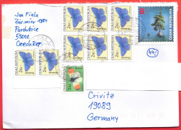 Czech Rep. Letter To Germany (Crivitz) Schmetterlinge/Baum, Feinst - Covers & Documents