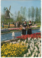 Keukenhof Lisse  - Bloembollen - (Holland) - Zwiebelblumen/Bulbs/Bulbes - Lisse