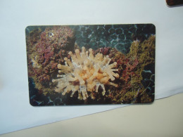 VENEZUELA   USED  CARDS  FISH FISHES  MARINE LIFE - Fische