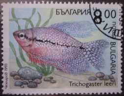 BULGARIA 1993 ~ S.G. 3914, ~ FISH. ~  VFU #02923 - Gebruikt