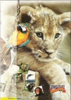 -  ITALIA 2003 - FOLDER - ZOO SAFARI Di FASANO - Animali - Cat. ? € - - Presentatiepakket