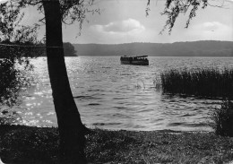 Buckow - Mark. Schweiz - Motorbootsfahrt Auf Dem Schermützelsener (803) - Buckow