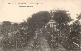 21 MEURSAULT. Maison Chonion Le Chalet Au Clos Des Acacias Dans La Vigne. Vins  Vignes, Grands Crus Vignobles 1909 - Meursault